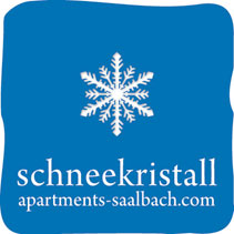 apartments saalbach hinterglemm